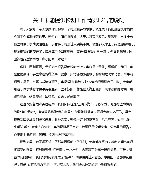 关于未能提供检测工作情况报告的说明