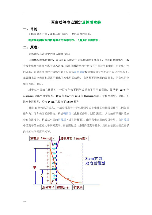 蛋白质等电点测定