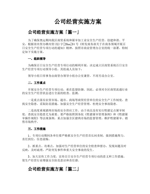 公司经营实施方案