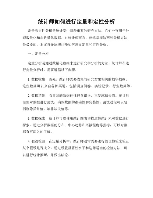 统计师如何进行定量和定性分析