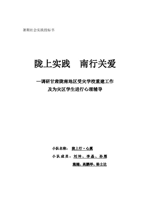 2021年陇上行心翼暑期社会实践投标书