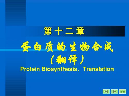 生物化学12章翻译