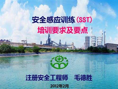 SST培训要求及要点PPT课件