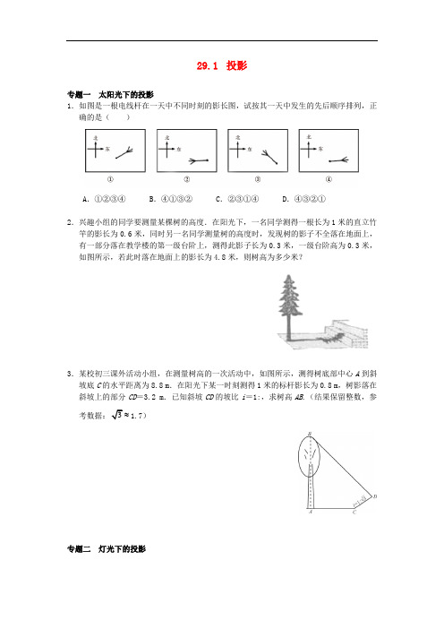 初中数学 投影专题试题及答案3