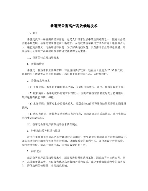 番薯无公害高产高效栽培技术