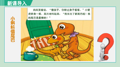 《细胞通过分裂产生新细胞》PPT课件