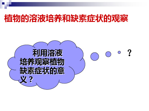 实验二植物的溶液培养