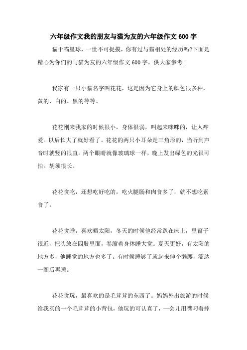 六年级作文我的朋友与猫为友的六年级作文600字