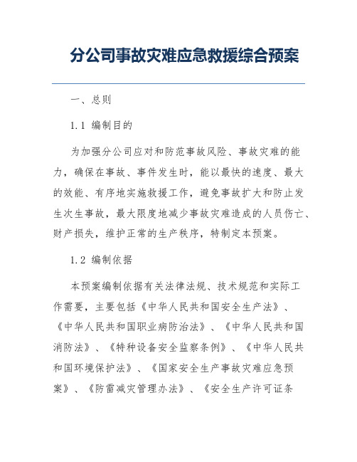 分公司事故灾难应急救援综合预案