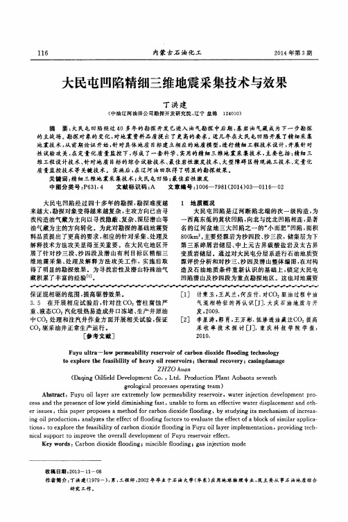 大民屯凹陷精细三维地震采集技术与效果