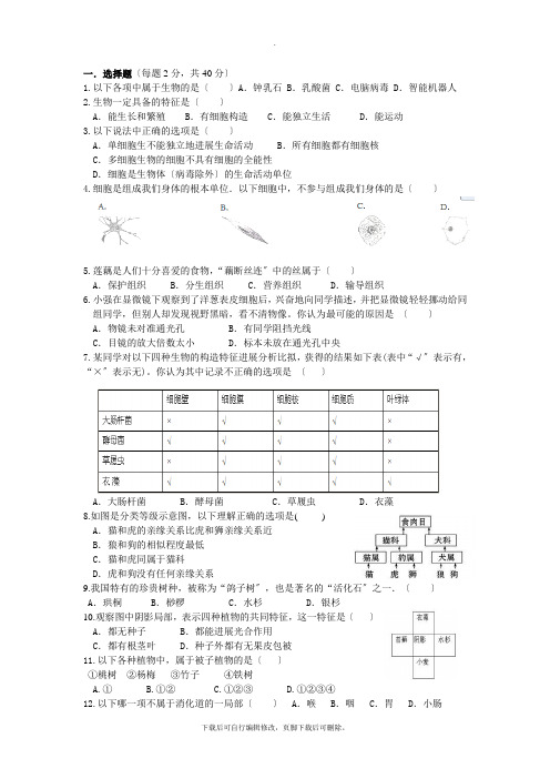 初中浙教版科学七年级上册第2章综合练习