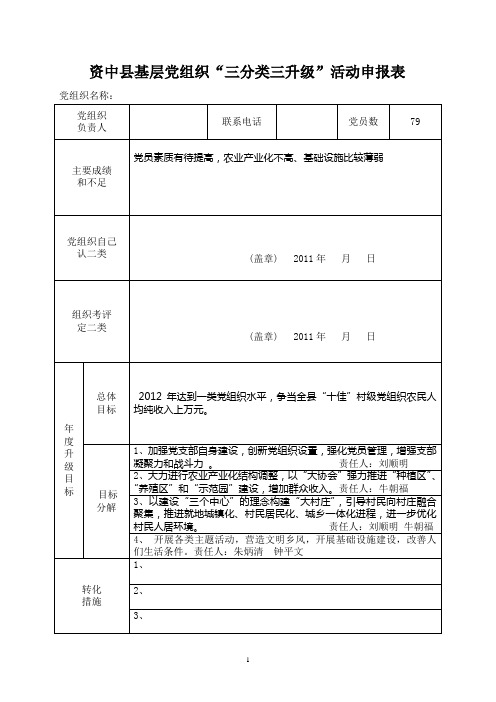 三分类三升级活动申报表