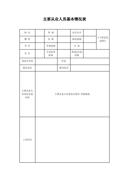 主要从业人员基本情况表111