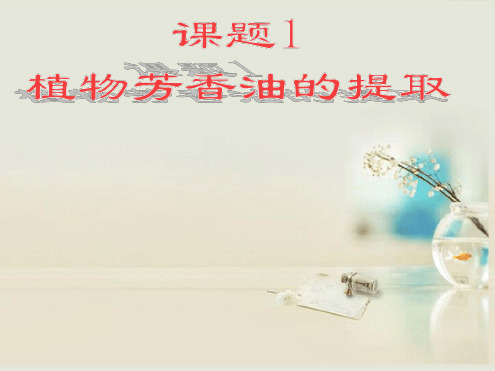 高中生物第六章第一节植物芳香油的提取课件6新人教版选修1