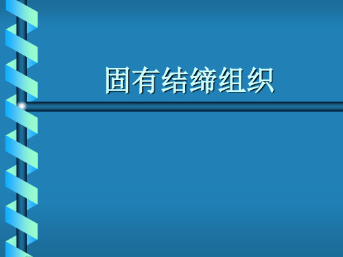 人体显微形态学切片课件：固有结缔组织-