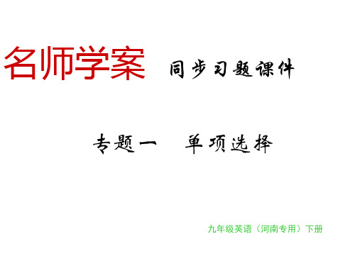 人教版九年级英语全册(河南专版)习题课件：专题一(共131张PPT)