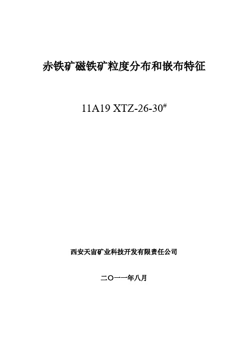 赤铁矿磁铁矿的粒度分布和嵌布特征