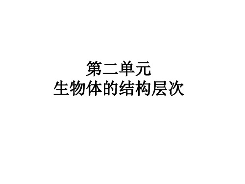 2. 人教版七年级生物复习 第二单元 生物和细胞