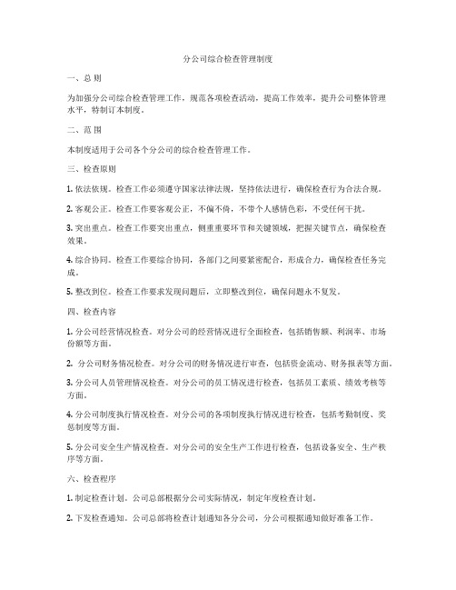 分公司综合检查管理制度