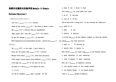 高中英语 Module 5 Ethnic Culture