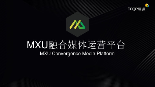 MXU简介170525