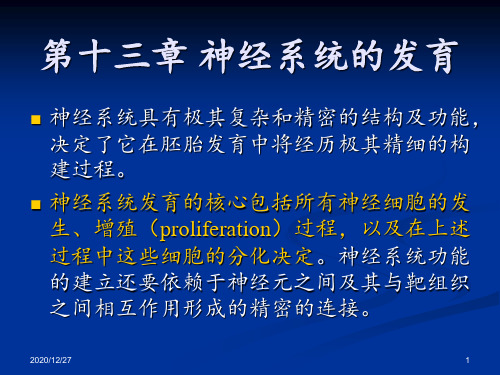 发育生物学第十三章 神经系统的发育 ppt课件