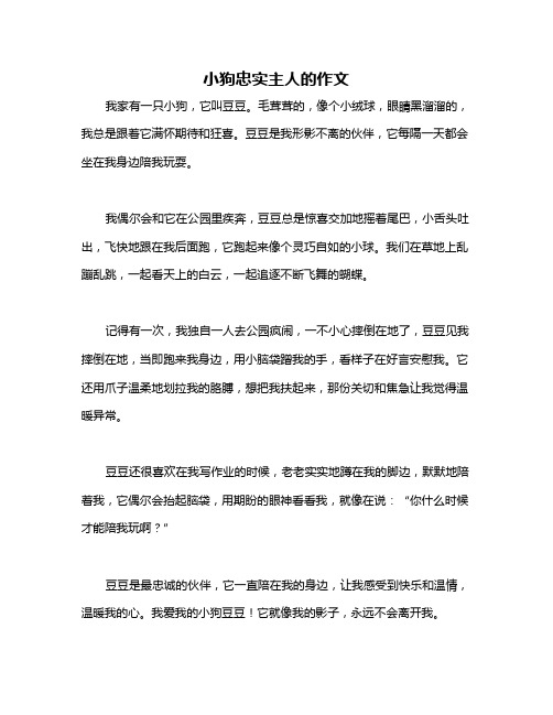 小狗忠实主人的作文