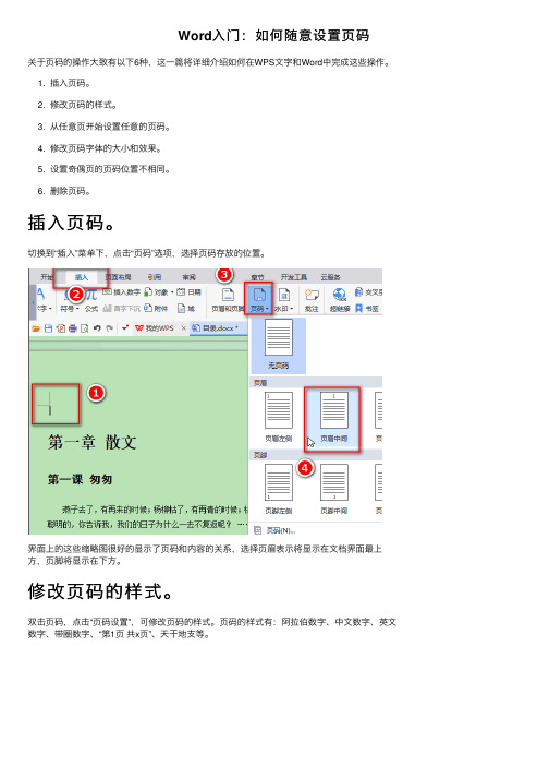 Word入门：如何随意设置页码