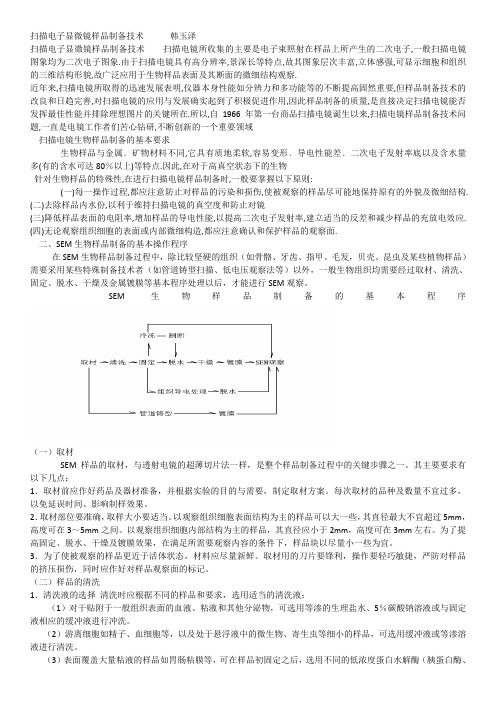 扫描电子显微镜样品制备技术