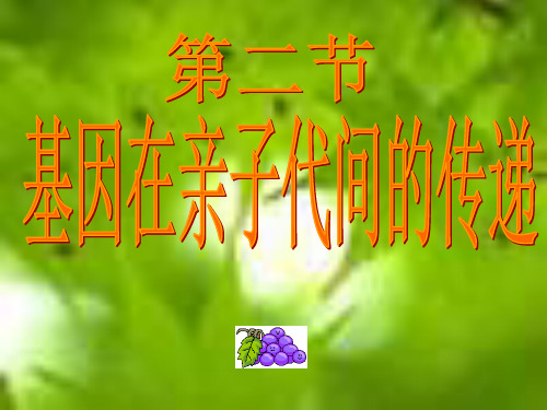 基因在亲子代间的传递课件---新课本-幻灯片(1)