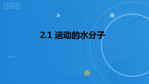 -2023--2024学年八年级化学鲁教版(五四学制)全一册2