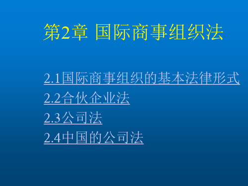 国际商法第2章国际商事组织法