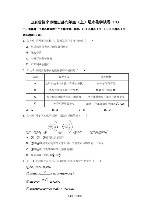 山东省济宁市微山县九年级(上)期末化学试卷(B)