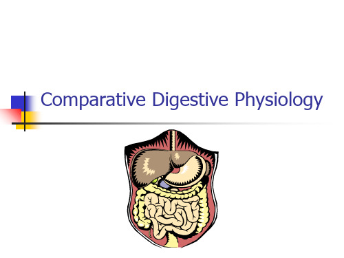 1 Comparative Digestive Physiology (mod) 大学动物营养学课件 英文版