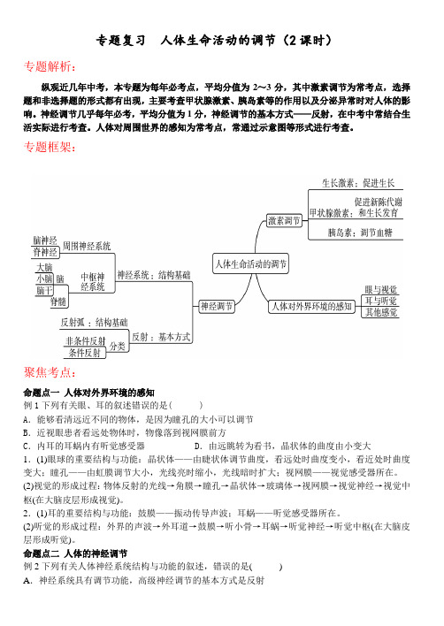 八年级中考生物专题复习：人体生命活动的调节