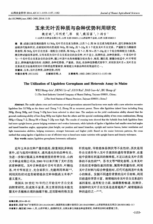 玉米无叶舌种质与杂种优势利用研究