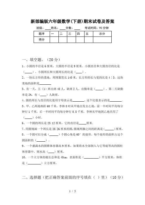 新部编版六年级数学(下册)期末试卷及答案
