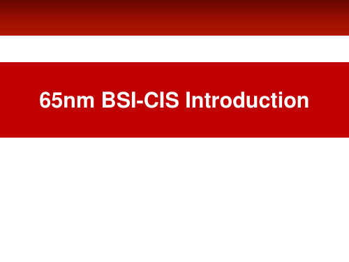 65nm BSI-CIS Introduction RI