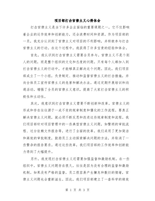 项目部打击官僚主义心得体会