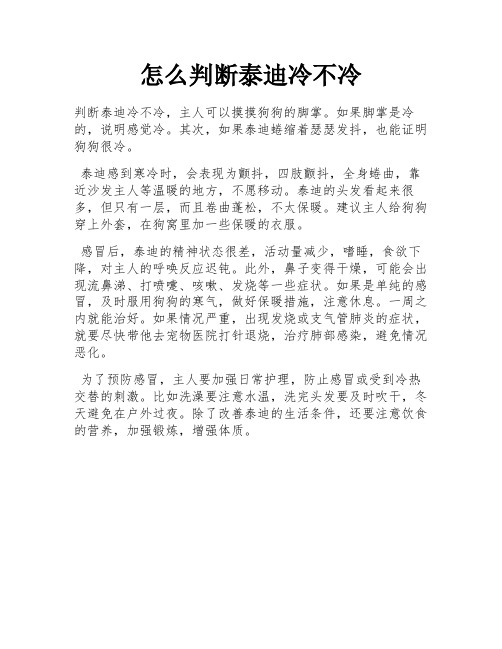 怎么判断泰迪冷不冷