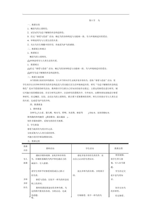 鸟精品教学案