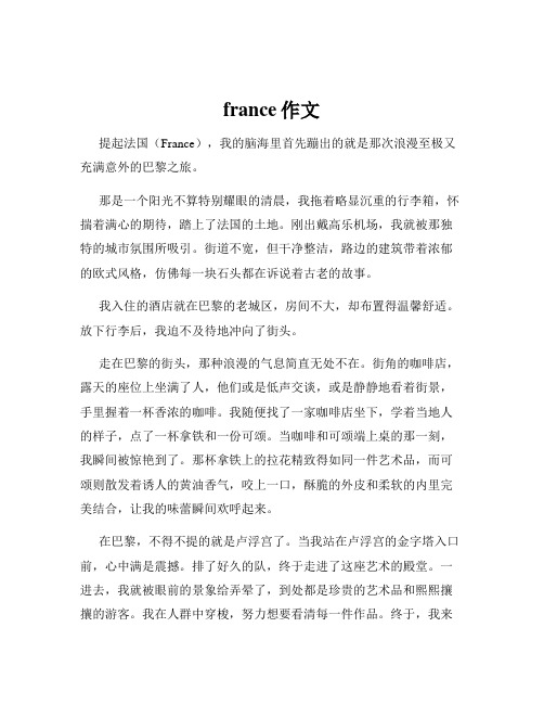 france作文