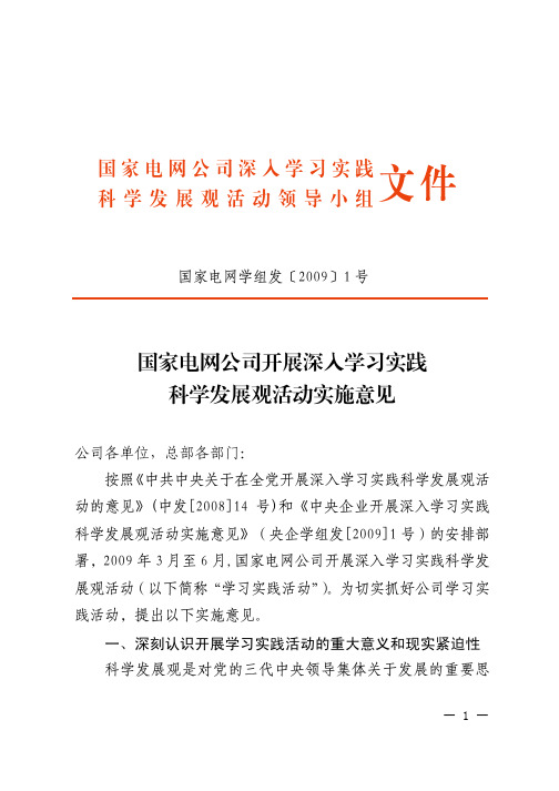 国家电网公司深入学习实践 科学发展观活动领导小组