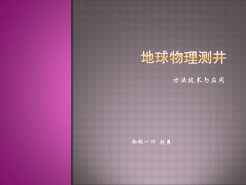 地球物理测井方法技术与应用