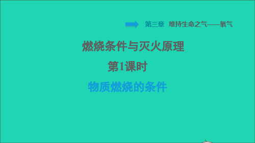 九年级化学上册第3章维持生命之气__氧气课题3燃烧条件与灭火原理第1课时物质燃烧的条件习题课件科学版