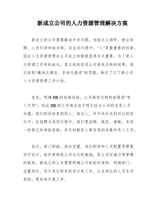 新成立公司的人力资源管理解决方案