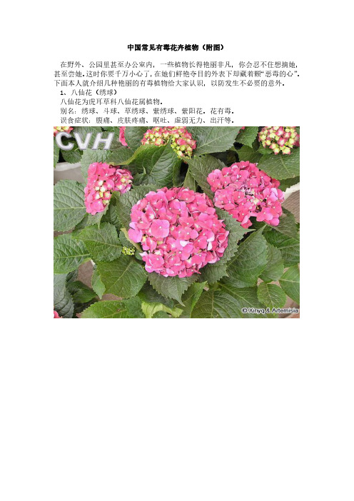 中国常见有毒花卉植物(附图)