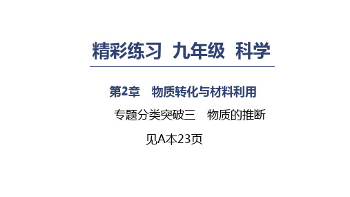 浙教版九年级上册科学第2章课件：专题分类突破三 物质的推断 (共12张PPT)