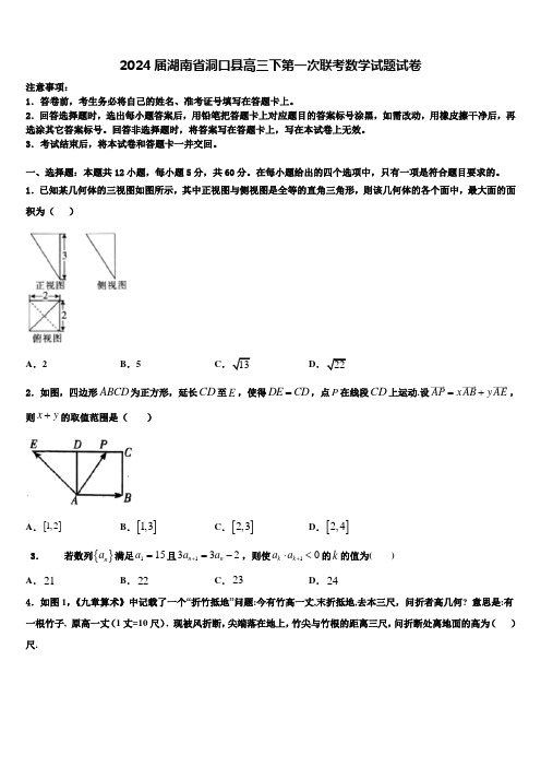 2024届湖南省洞口县高三下第一次联考数学试题试卷