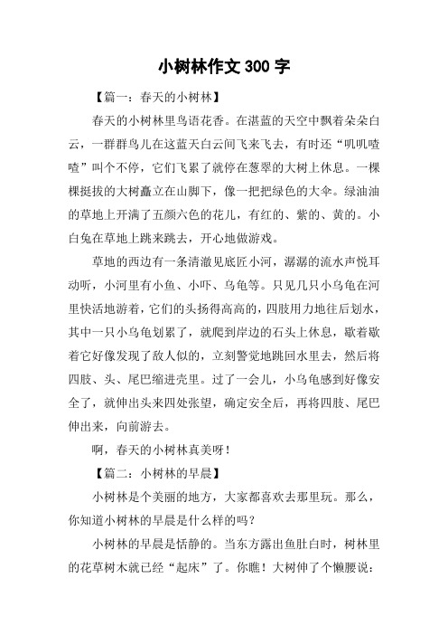小树林作文300字